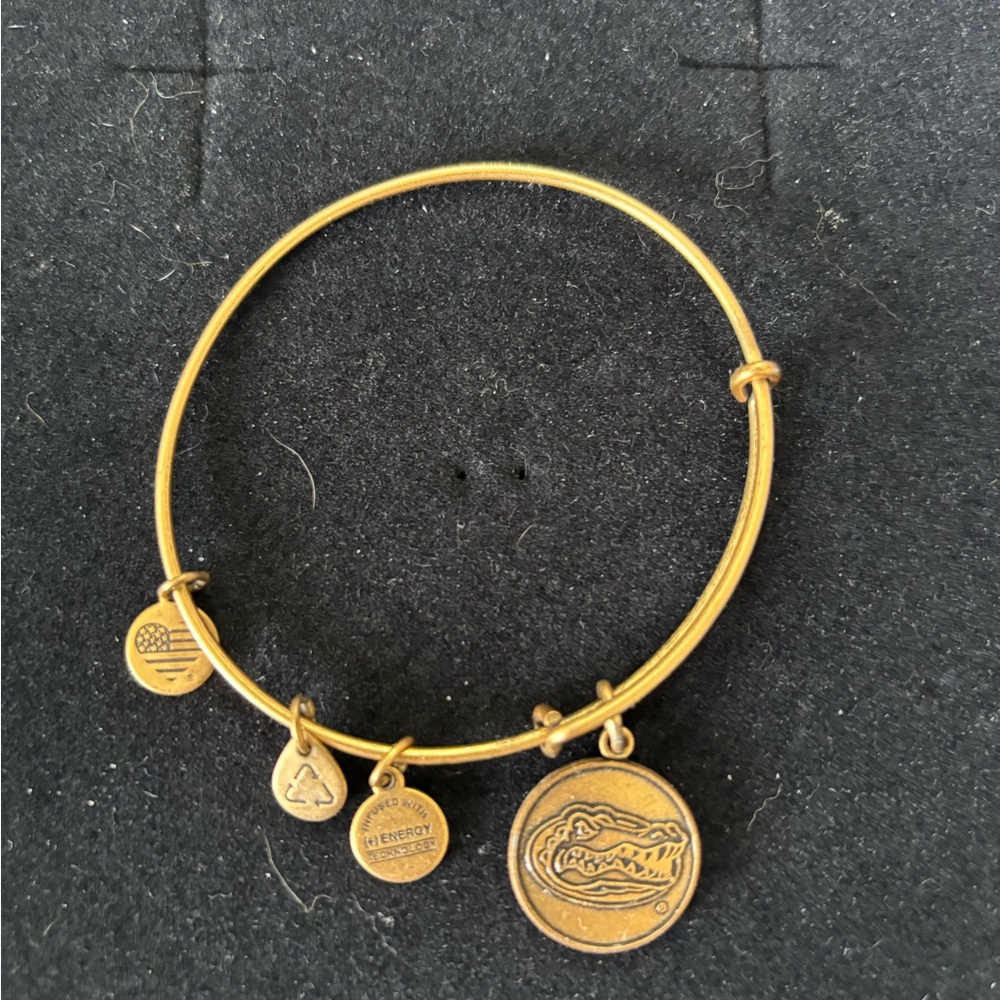🐊 Alex and Ani Gold Charm Bracelet with Gator Medallion